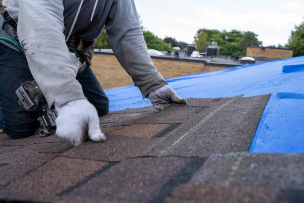 Quick and Trustworthy Emergency Roof Repair Services in Lone Tree, CO